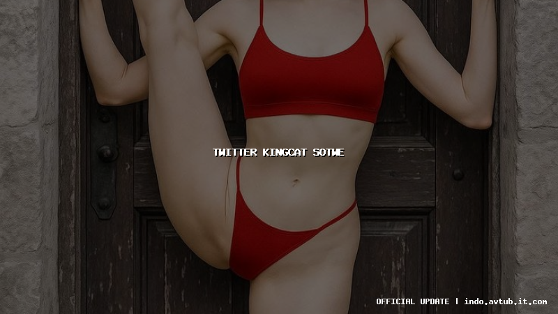 twitter kingcat sotwe