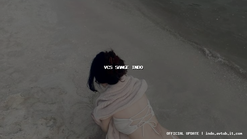 vcs sange indo