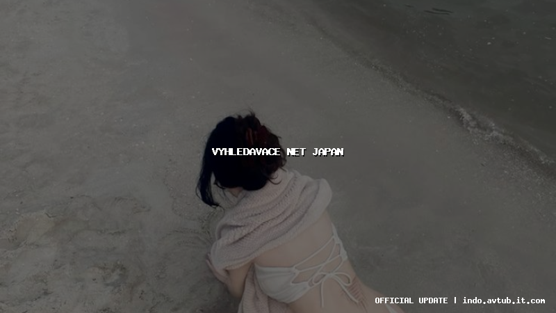 vyhledavace net japan