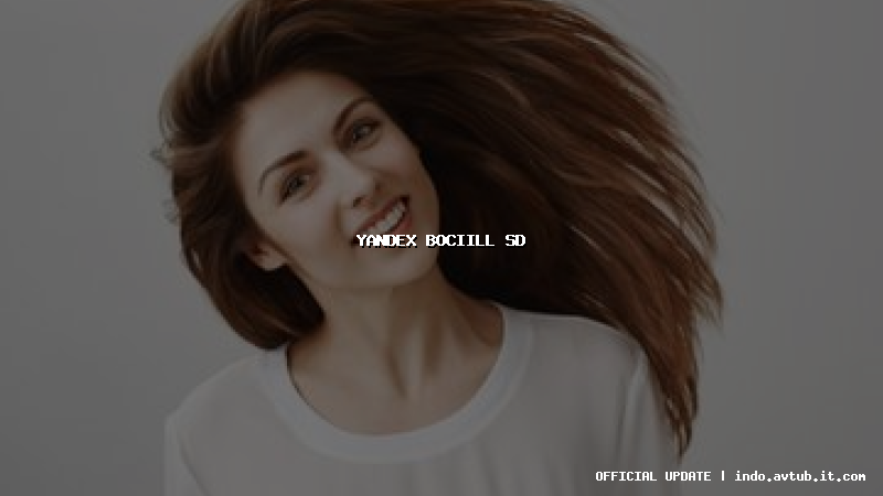yandex bociill sd